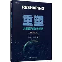 音像重塑 大数据与数字经济刁生富,冯利茹