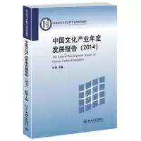 音像中文化业年度发展报告:2014:2014叶朗主编