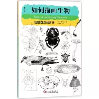 音像如何描画生物(观察自然的方法)(日)盛口满|译者:柴季薇
