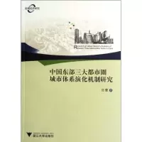 音像中国东部三大都市圈城市体系演化机制研究张蕾