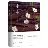 音像童年(苏)马克西姆·高尔基|译者:李辉凡