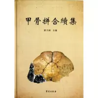 音像甲骨拼合续集黄天树 编