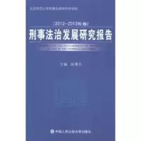 音像刑事法治发展研究报告:2012-2013年卷赵秉志主编