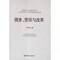 音像债务.货币与改革王建业