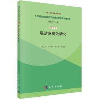 音像煤洁净高效转化谢克昌,田亚峻,何永德等著