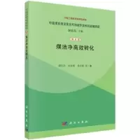 音像煤洁净高效转化谢克昌,田亚峻,何永德等著