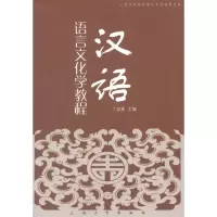 音像汉语语言文化学教程丁迪蒙 编