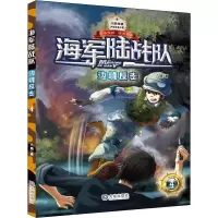音像边境反击八路