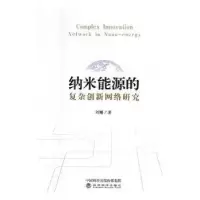 音像纳米能源的复杂创新网络研究刘娜著