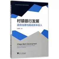 音像村镇银行发展(治理与民间资本投入)陆智强