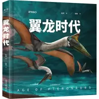 音像翼龙时代杨杨