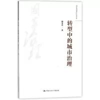 音像转型中的城市治理/治理研究书系杨宏山
