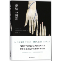 音像爱情与影()(智利)伊莎贝尔·阿连德|译者:陈凯先