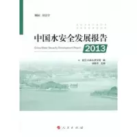 音像中国水安全发展报告:2013伍新木主编