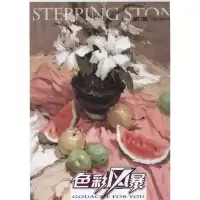音像敲门砖.色彩风暴系列美术丛书:色彩静物.画面感黄国文