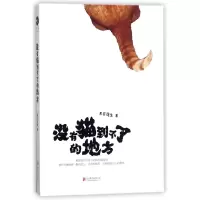 音像没有猫到不了的地方慕容莲生