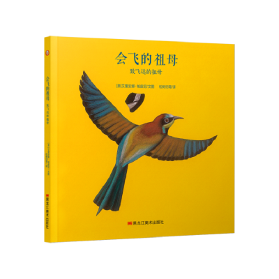音像会飞的祖母—致飞远的祖母[意]艾里安娜·帕皮尼