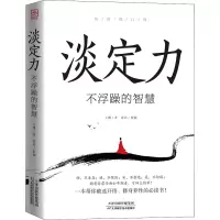 音像淡定力 不浮躁的智慧修订版王琳