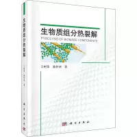 音像生物质组分热裂解王树荣,骆仲泱