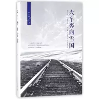 音像火车奔向雪国(精)许宇晟