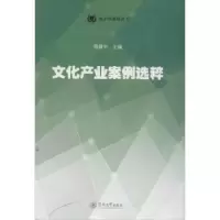 音像文化产业案例选粹陈致中主编