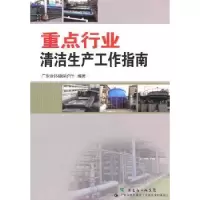 音像重点行业清洁生产工作指南王大力主编