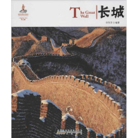 音像长城宋存洋