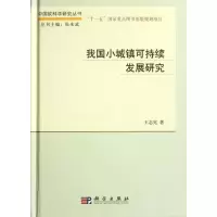 音像我国小城镇可持续发展研究王志宪