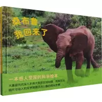 音像桑布鲁,我回来了孙霄