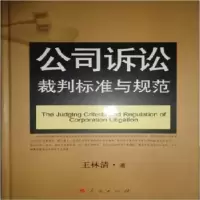 音像公司诉讼裁判标准与规范王林清著