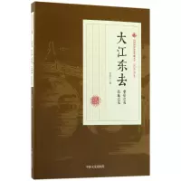 音像大江东去(巷战之夜热血之花)/民国通俗小说典藏文库张恨水