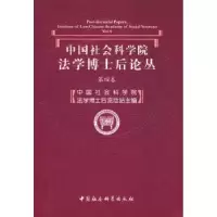 音像法学博士后论丛:第四卷法学博士后流动站主编