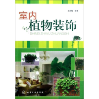 音像室内植物装饰张淑梅