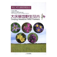 音像大庆草地野生花卉张兴[等]主编