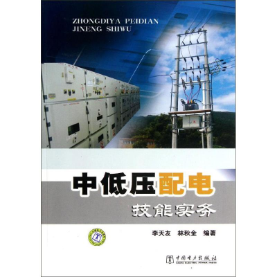 音像中低压配电技能实务李天友,林秋金