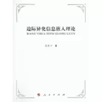 音像边际异化信息嵌入理论张思宁著