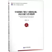音像中国的影子银行与市场--内在关联与作用机理李锦成