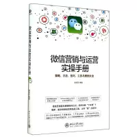 音像营销与运营实操手册(策略方法技巧工具与案例大全)黄伟芳