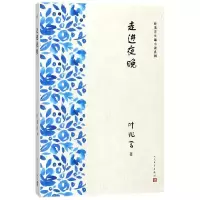 音像走进夜晚/叶兆言长篇小说系列叶兆言