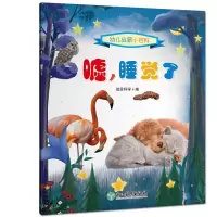 音像幼儿启蒙小百科:嘘,睡觉了佰思科学