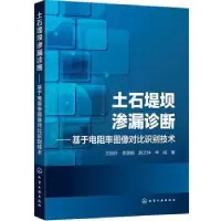 音像土石堤坝渗漏诊断——基于电阻率图像对比识别技术王日升