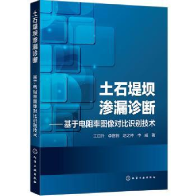 音像土石堤坝渗漏诊断——基于电阻率图像对比识别技术王日升