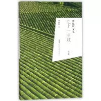 音像恋上一座城(林徽因文集)林徽因