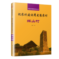 音像把农村建设得更像农村:辉山村沈欣 著,凤凰空间 出品