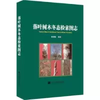 音像落叶树木冬态检索图志黄健秋著