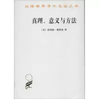 音像真理意义与方法:戴维森哲学文集[美]唐纳德.戴维森