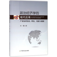 音像政治经济学的现代应用(产业协同发展理论实践与创新)田敏