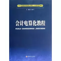音像会计电算化教程王家兰