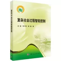 音像复杂冶金过程智能控制吴敏