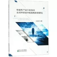 音像资源产品行业协会在对外贸易中的战略转型研究王玉珍著